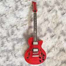 Chitarra elettrica 12 corde