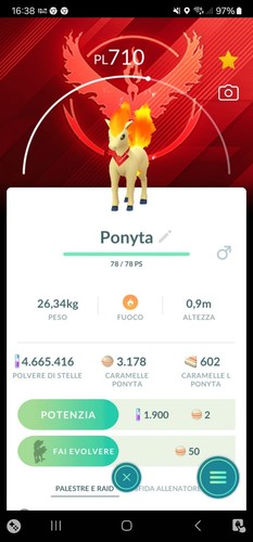 Ponyta candela pokemon - ponyta, go