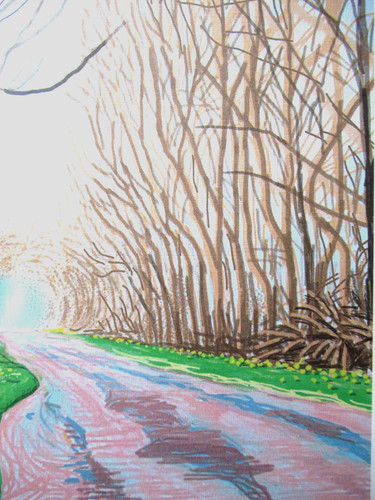 Litografia david hockney - litografia,