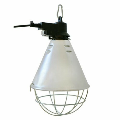 Aufzuchtleuchte lampada - aufzuchtleuchte, di