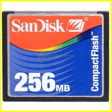 Scheda compact flash Sandisk 256Mb. CF 256 Megabyte. Memory Card