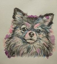 Tableau dessin Chien Chiwawa