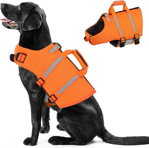 Giubbotto salvagente cane - giubbotto,
