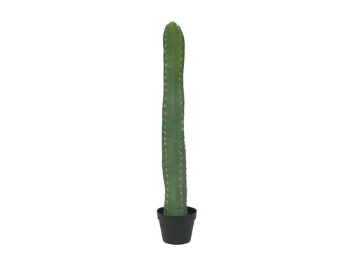 Cactus messicano artificiale - cactus,