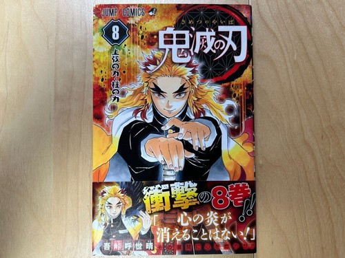 Demon slayer kimetsu - slayer, no