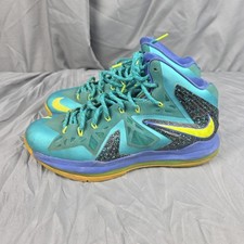Nike LeBron 10 P.S. Elite