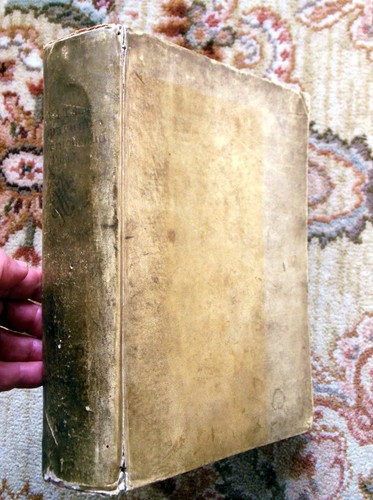 1693 vitae paparum - vitae,