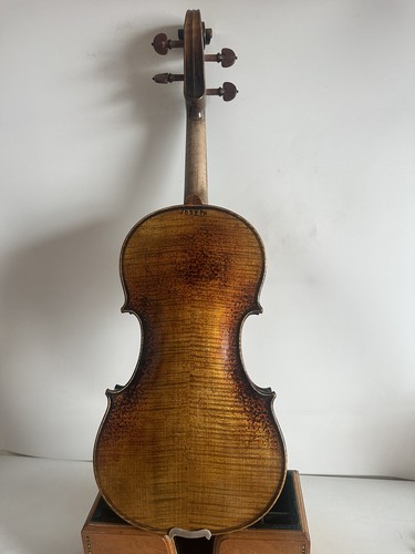 Violino modello guarneri - violino,