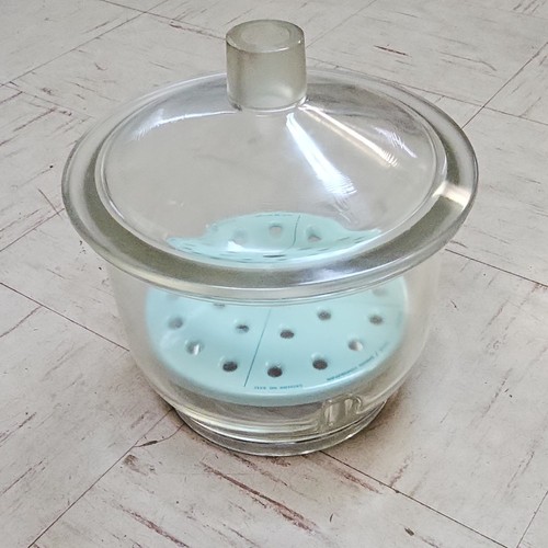 Pyrex essiccatore vetro - vetro, con