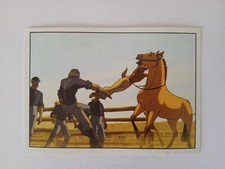 FIGURINA SPIRIT CAVALLO