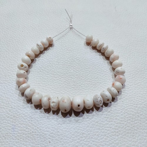 Autentico corallo bianco