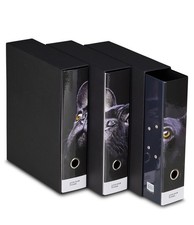 Set raccoglitori ad - set, 3