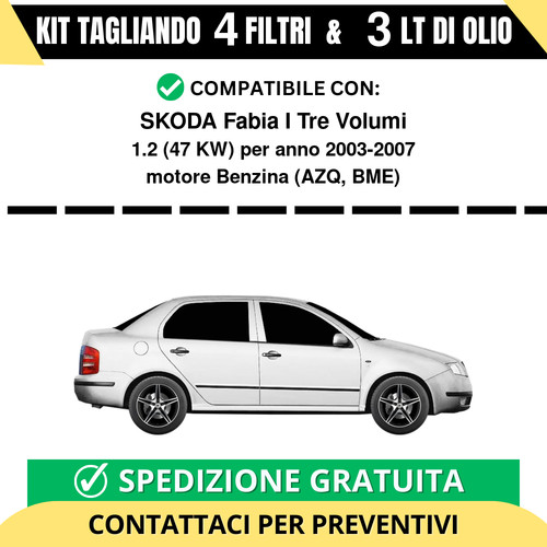 Tagliando per skoda fabia - tagliando, i