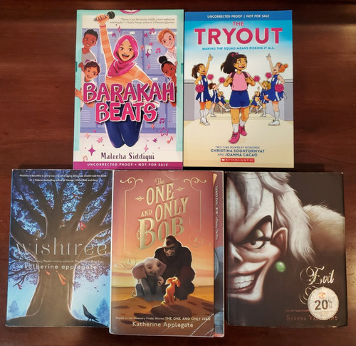 Lot chapter books ages - books,