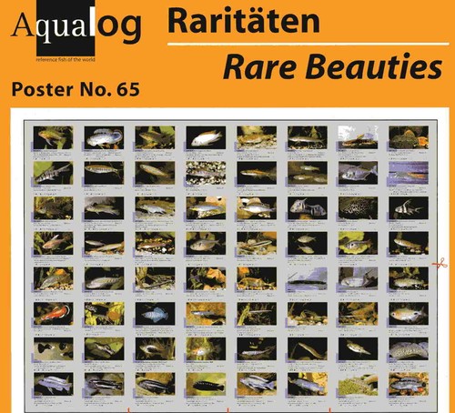Aqualog poster pieghevole - aqualog,