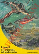 Biologia marina - I pesci e le meraviglie dl fondo marino.  (4-5905)