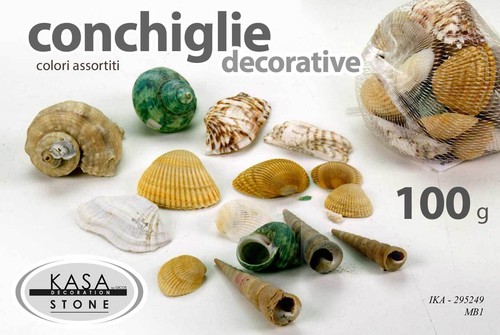 Conchiglie marine decorative - conchiglie,