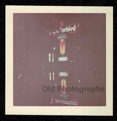 Insegna neon thunderbird motor - insegna,
