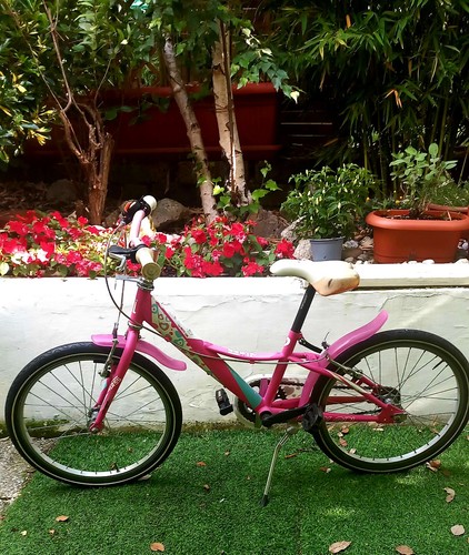 Bicicletta per bambina - bicicletta,
