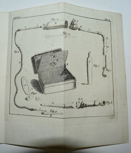 Vermi solitari fig 1775 - solitari,