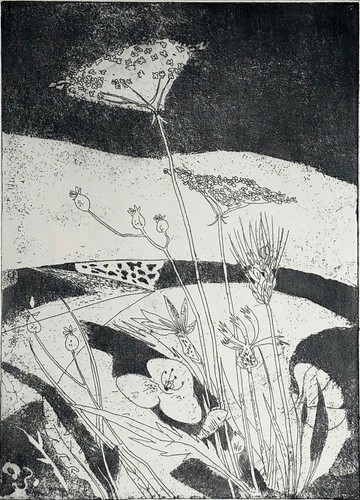 Enrico paulucci papaveri - ,