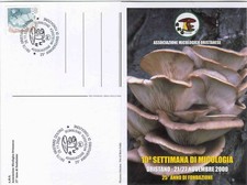 2000 ORISTANO SARDEGNA PLEUROTUS OSTREATUS FUNGHI CHAMPIGNONS MUSHROOM SETAS    