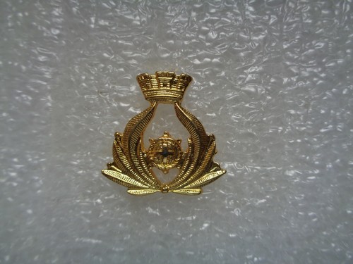 Distintivo servizi tecnici - distintivo,