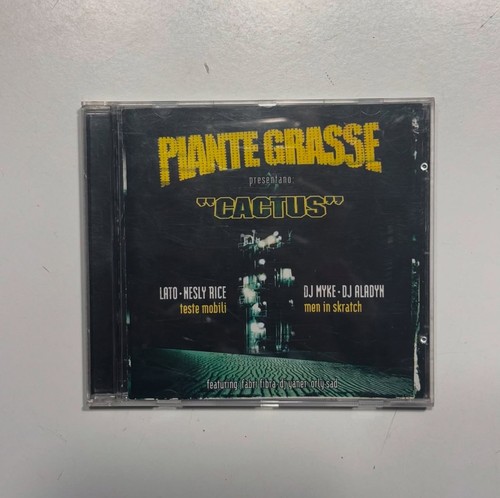 Piante grasse cactus - grasse, teste