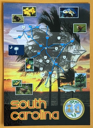 Cartolina carolina del sud - carolina,