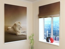 tenda a pacchetto ARREDALACASA