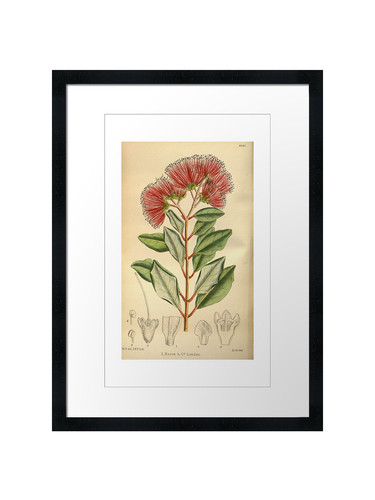 Quadro stampa poster - poster, arte