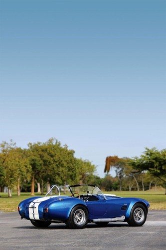 619573 1967 shelby cobra - cobra, 427