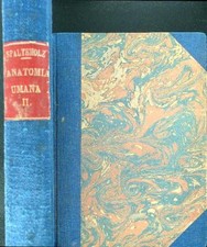 ANATOMIA UMANA 2 VV  SPALTEHOLZ W. -  HIS G. VALLARDI 1941