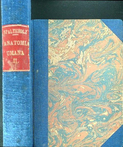 Anatomia umana vv - anatomia,