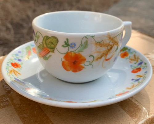 Fiorucci casa tazzine 6 - fiorucci,