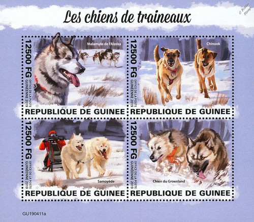 Sled dogs - sled,