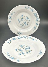 ARCOROC ARCOPAL Veronica set