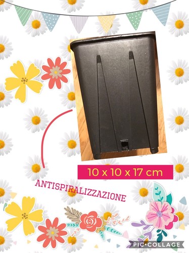 Vasi plastica quadrati - 20,