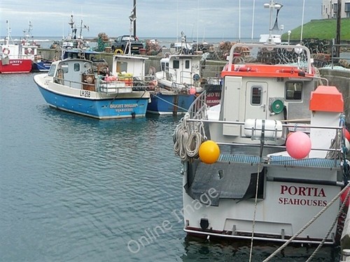 Photo 6x4 seahouses - photo, harbour