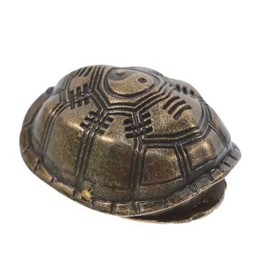 Guscio tartaruga cartomanzia - ,