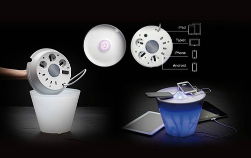 Rotaliana multipot dante - multipot,