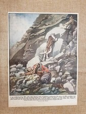 Retrocopertina Illustrazione