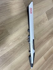 Regolatore elettronico vento