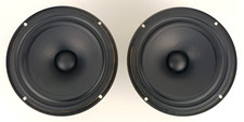 CELESTION-B 2009-COPPIA