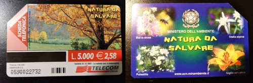 Scheda telefonica telecom - telefonica,