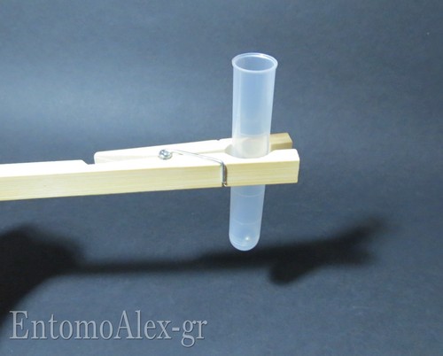 Pinze legno 18cm molla - legno, x2
