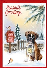 Boxer Cucciolo Cane A6 (4" x