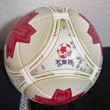 2012 Japan Emperor's Cup