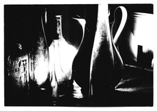 Foto MARIO GIACOMELLI ai sali