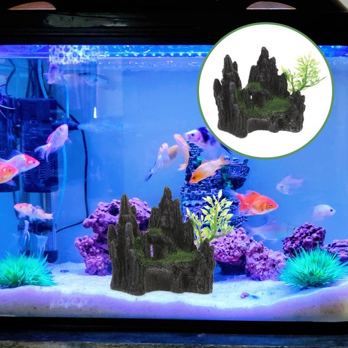 Decorazione dell acquario - decorazione, dell'acquario